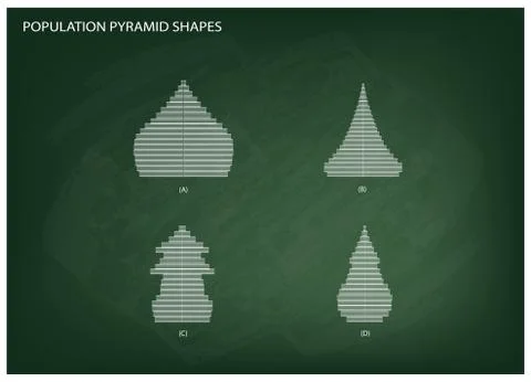 The 4 Types of Population Pyramids Graphs Stock Illustration