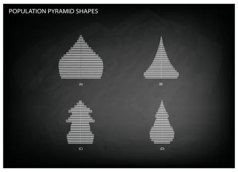 The 4 Types of Population Pyramids Graphs Stock Illustration