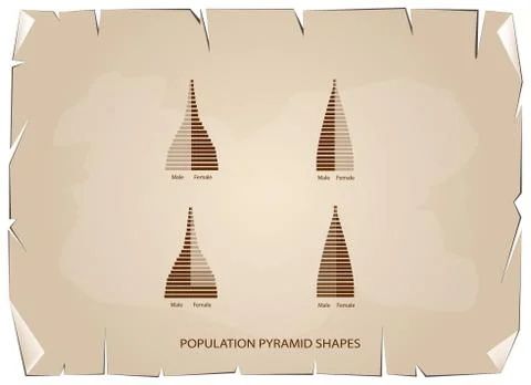 The 4 Types of Population Pyramids Graphs Stock Illustration