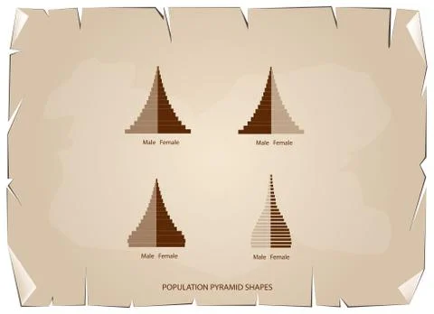 The 4 Types of Population Pyramids Graphs Stock Illustration