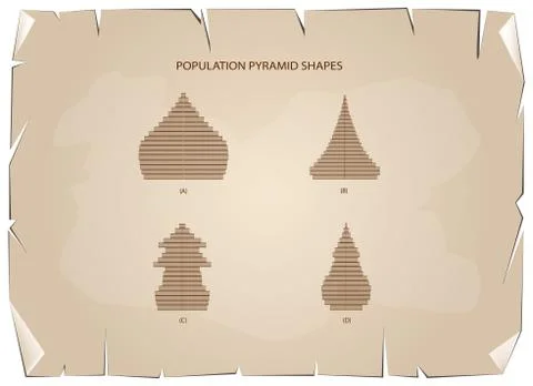 The 4 Types of Population Pyramids Graphs Stock Illustration