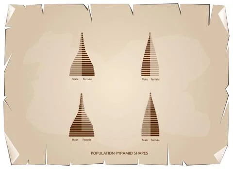 The 4 Types of Population Pyramids Graphs Stock Illustration