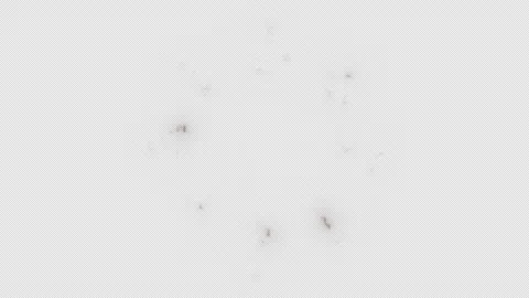4 Types of Transparent 2D Effects with the Impact of an Explosion’s Shock Wave 库存影片 342523286