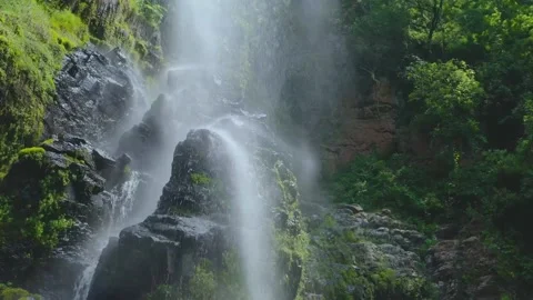 4. waterfall in forest Video stock 209949307