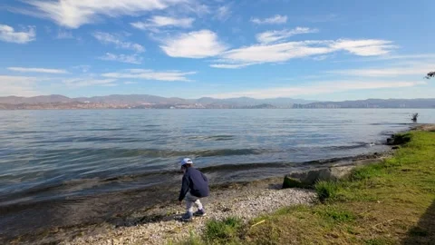 4 year old boy exploring lakeshore while skipping stones Stock Footage 333102548