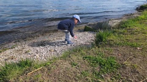 4 year old boy exploring lakeshore while skipping stones Stock Footage 333102549