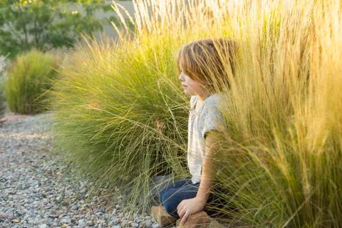 4 year old boy playing in tall grass at sunset Stock Photos