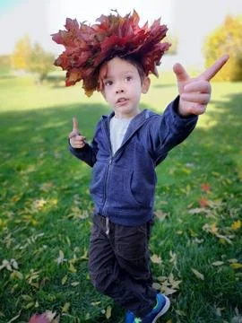 4-year-old Caucasian boy with wreath of red maple leaves on head,autumn nature Stock Photos