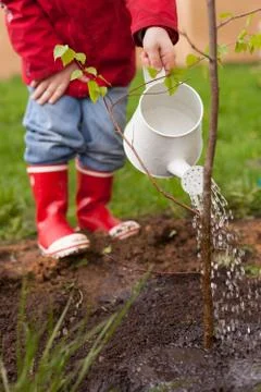 4 years old boy in a red jacket, blue jeans and rubber boots is planting a th Stock Photos