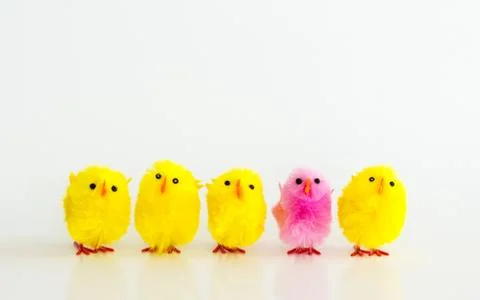 4 yellow toy Easter chicks and 1 pink toy Easter chick Stock Photos