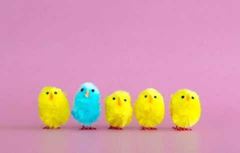 4 yellow toy Easter chicks and 1 turquoise toy Easter chick Stock Photos