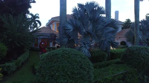 40 St Thomas dolly low altitude view of backyard. Stock Footage 55288830