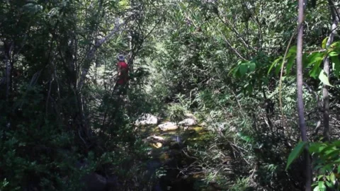 A 40 year old man crossing a creek and walking towards camera during dry season  Vídeos de archivo 194396267