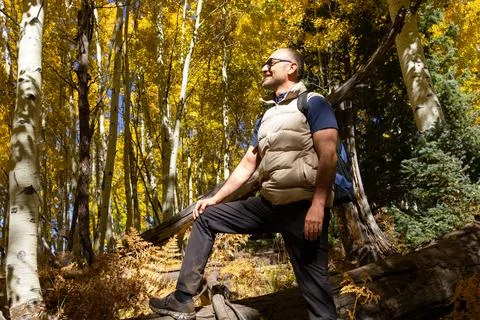 40 yo Man Stands On Fallen Tree And Looks Away In Autumn Forest, Nature, Carries Foto stock