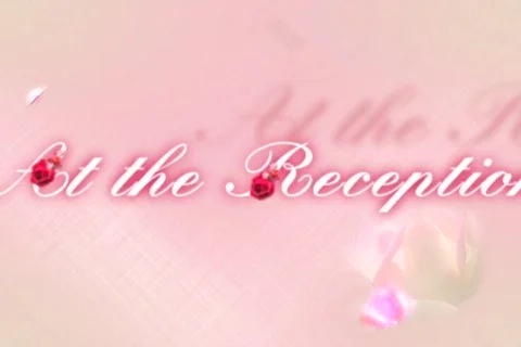 4001Cut At the Reception Stock Footage 823324