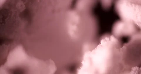 400x Microscopic View of Calcium Hydroxide Powder Particles Video stock 303629675