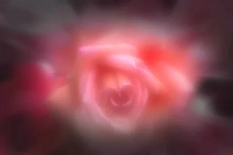 4021 Red Rose Background Stock Footage 823360