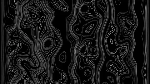 403 geometric Bulge 100 200 2 edges b&amp;amp;w Stock Footage 297433996