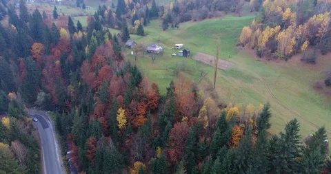 407 Stock Footage 97795906