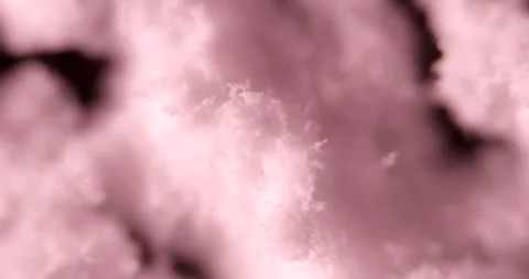 40x Microscopic View of Sodium Fluoride (NaF) Crystals Stock Footage 303630129