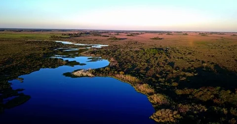 42 Aerial image of Horizon view in the Pantanal Biome. Stock Footage 80932320