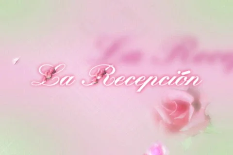 4201Cut La Recepcion (At the Reception) Stock Footage 847233