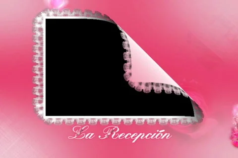 4201Luma La Recepcion (At the Reception) Stock Footage 847225