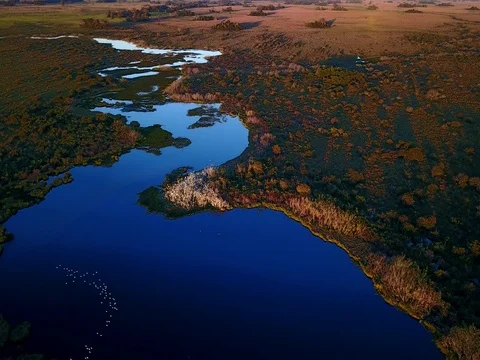 44 Lush Aerial image in the Pantanal Biome. Stock Footage