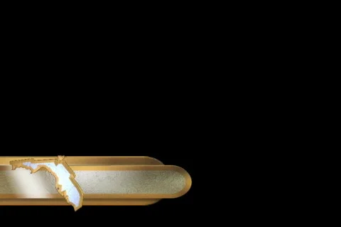 44059 Florida Stock Footage 725132