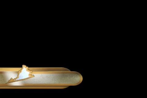 44096 Virginia Stock Footage 725063