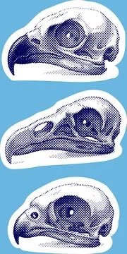 44444 Stock Illustration
