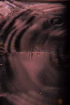 446.Liquid Distortion On Transparent Surface With Shadow Stock Photos