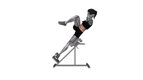 45 degree Bycicle Twisting Crunch female 1 fitness gym exercise workout animatio Vidéo 247708089