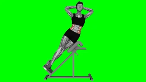 45 Degree Side Bend female fitness gym exercise workout animation muscle highlig 動画素材 247707613