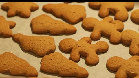 45° Static Shot of Freshly Baked Gingerbread Cookies on Parchment Paper Video stock 321832384