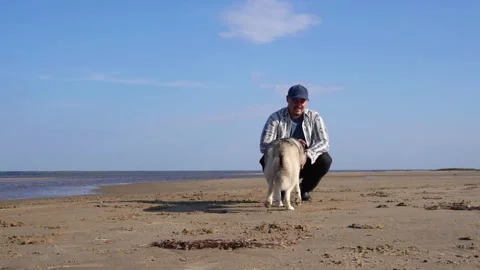 45-year-old bearded man calls his husky over and strokes him. people and pets. Stock Footage 287154086