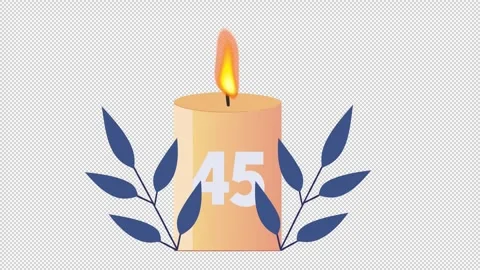 45th Anniversary Candle with Branches Stock-Footage 339044688