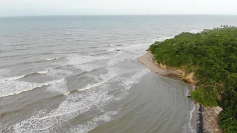 46 Palomino Stock Footage 135765013