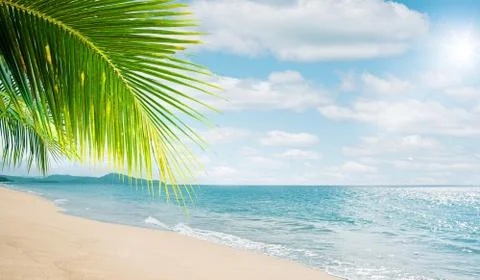 46- tropic 写真素材