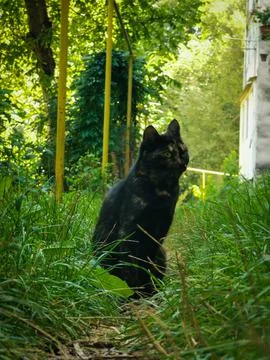 4606405 Stock Photos