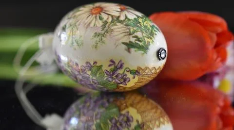 4684-easter egg with tulip Stock Photos