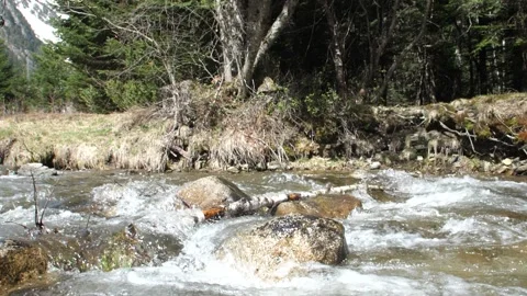 47 seconds of video of a high mountain river with clear and clean water Stock Footage 188044171