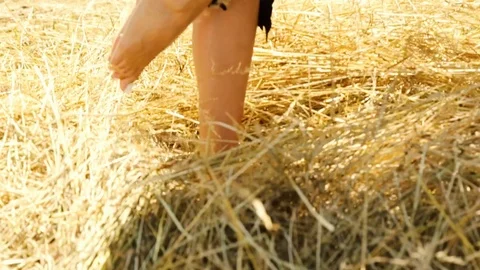 4756 25fps 2x slowmo Stock Footage 93031741