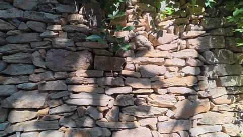 48 Ancient dry stone wall with wild green plants in old mountain village Stock Footage 345884401