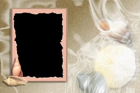 4813 Beach sand shells ocean water waves picture frame  Stock Footage 705720