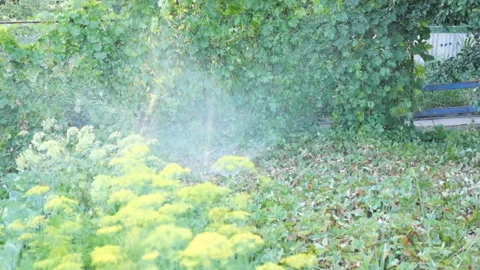 48Z 1-5 Stock Footage 121401434