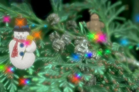 4915 Christmas Tree Lights Flicker ornaments background Stock Footage 713090