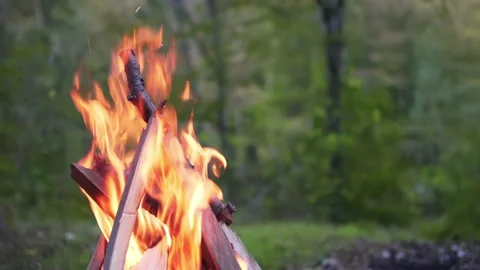 4K 10 bit. Campfire. The flames of the fire burn in the forest against the Vidéo 162237008