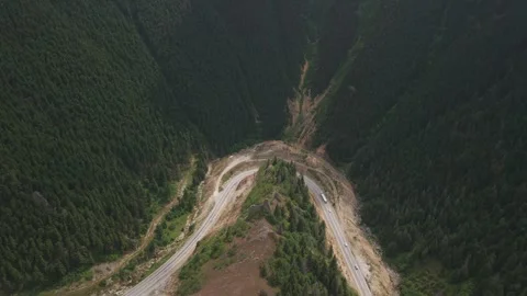 4K 10-bit drone pull-back shot flying backward to reveal a dense green pine Stock Footage 342267067