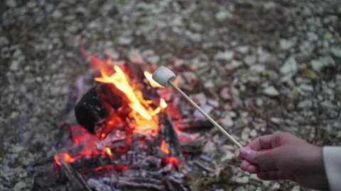 4K 10 bit. Marshmallow at the fire. Party at the camp. American tradition of Vidéo 162237150